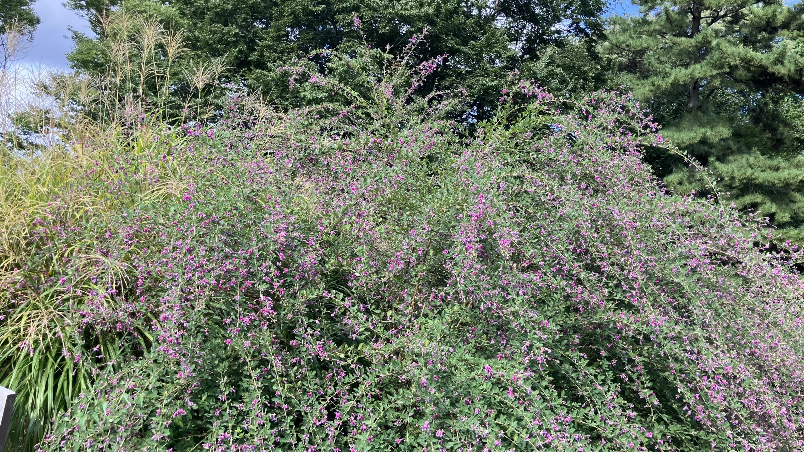 ブログ収益化までのロードマップ(前編)