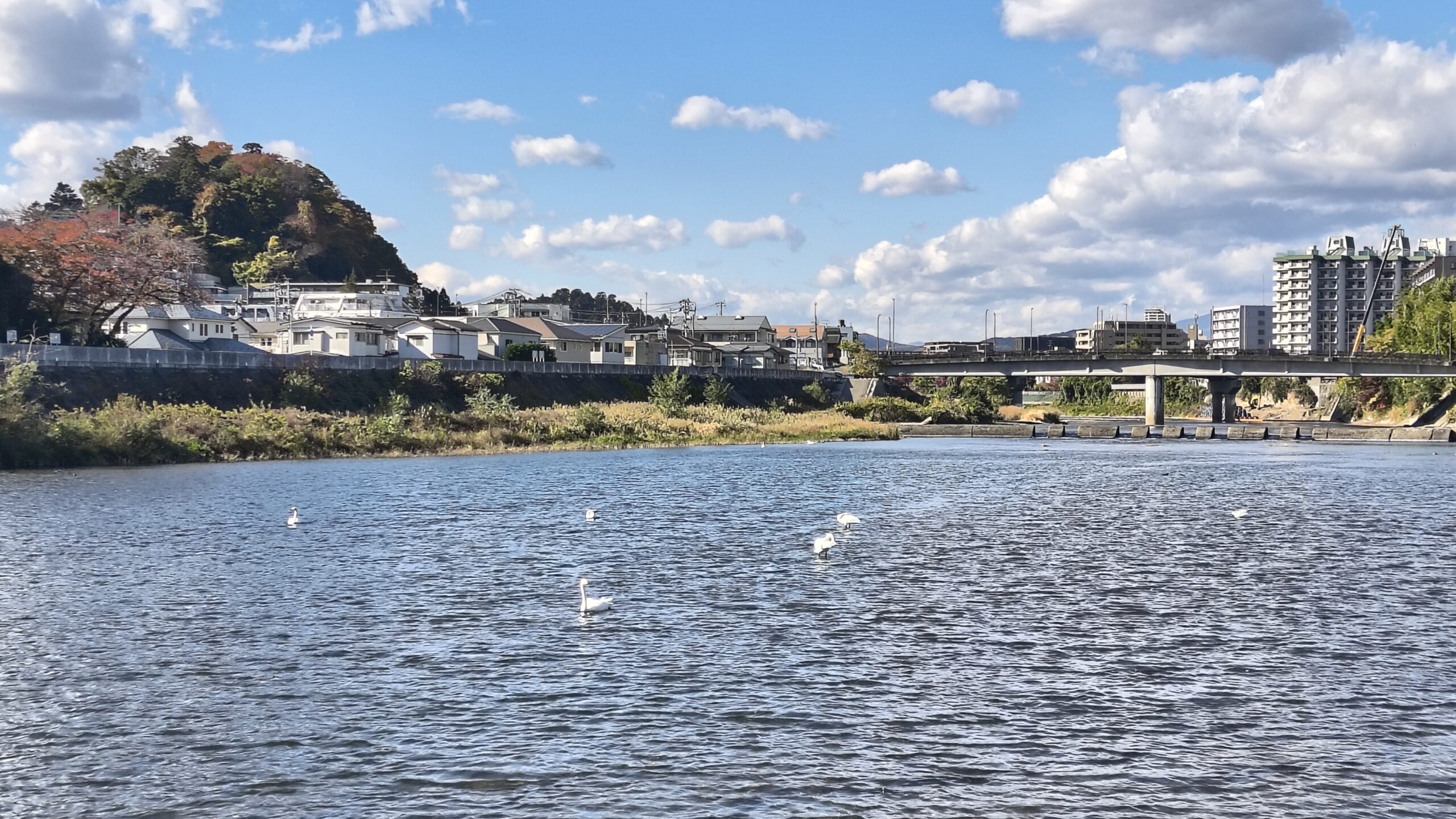 川の青そらのあをにも染まずただよふ